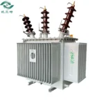 Pole-mounted oil-immersed transformer